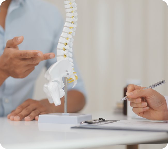 Chiropractor explaining a spine model to a patient